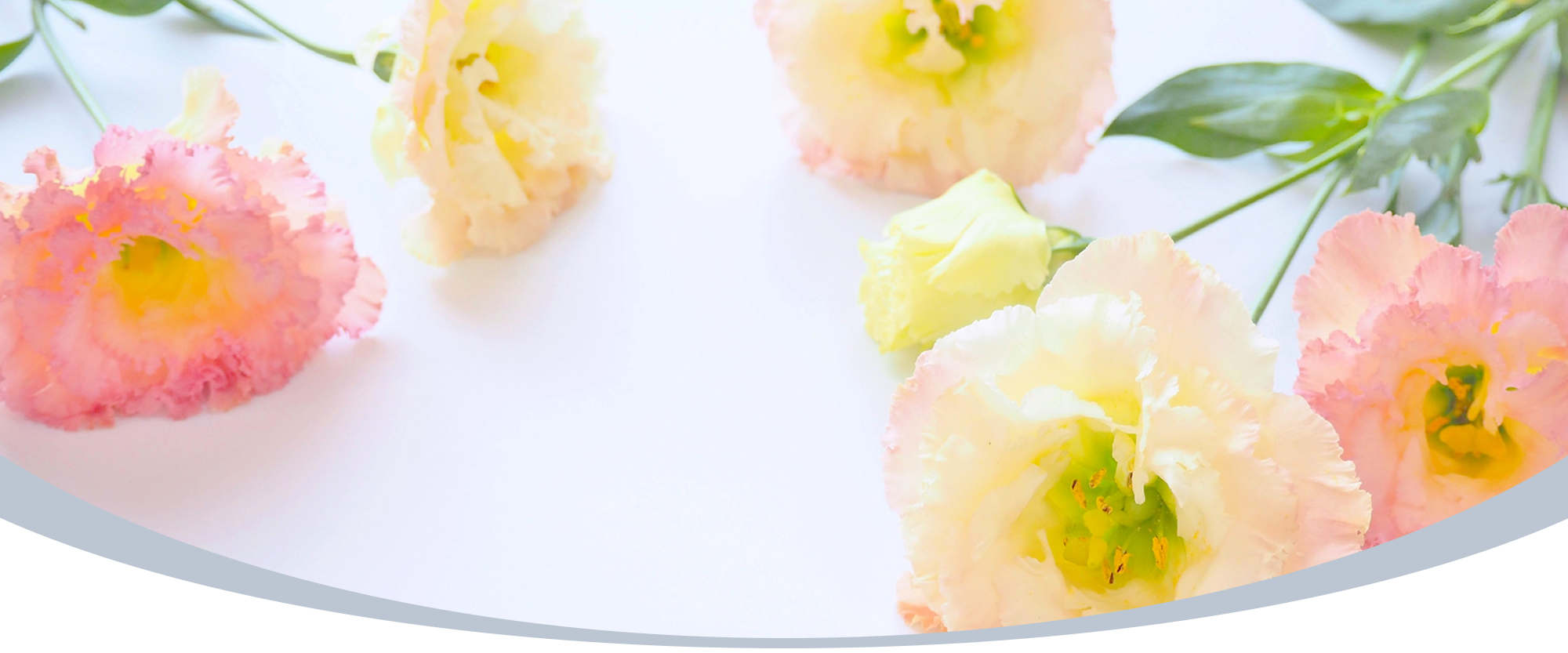 那須塩原市、大田原市の調剤薬局