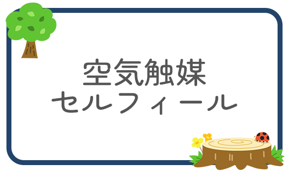 空気媒体セルフィール